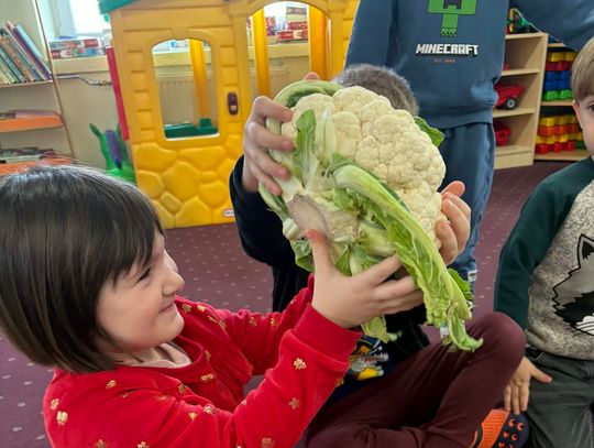 Kalafior "Kostek" z wizytą u przedszkolaków