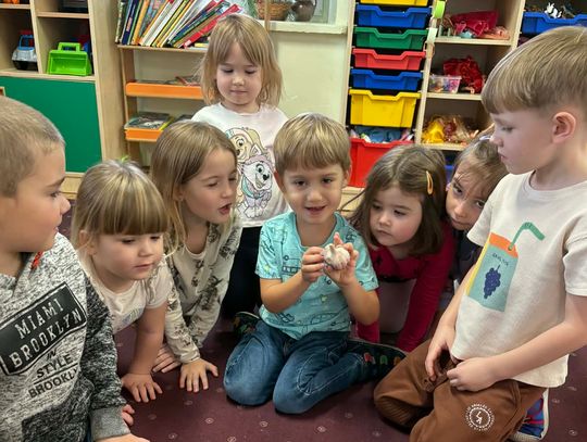 Witaminki u przedszkolaków