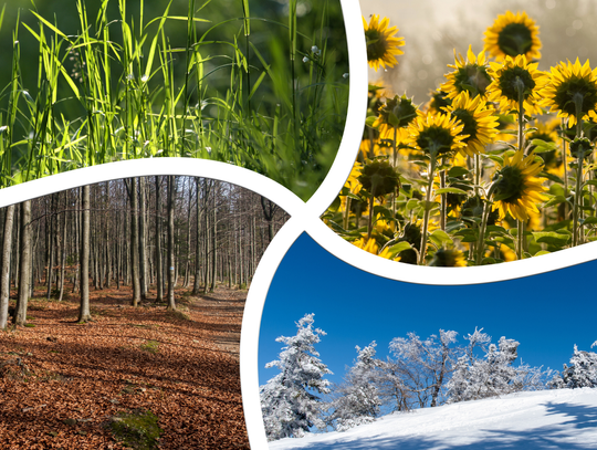 Zaproszenie na koncert "Cztery Pory Roku - Wiosna, Lato, Jesień, Zima"