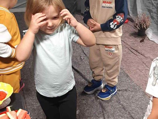 2025/2026 Wystawa żywych motyli