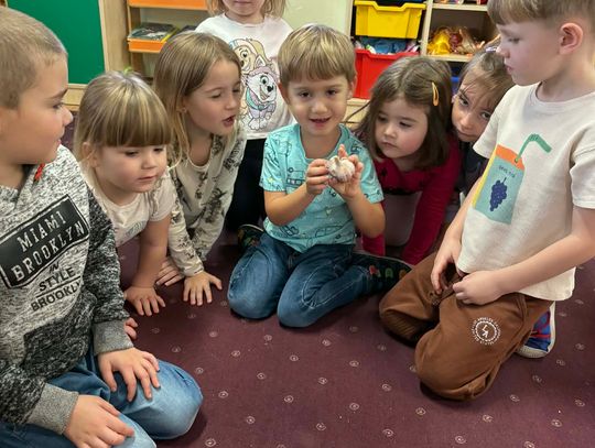 Witaminki u przedszkolaków cz 2